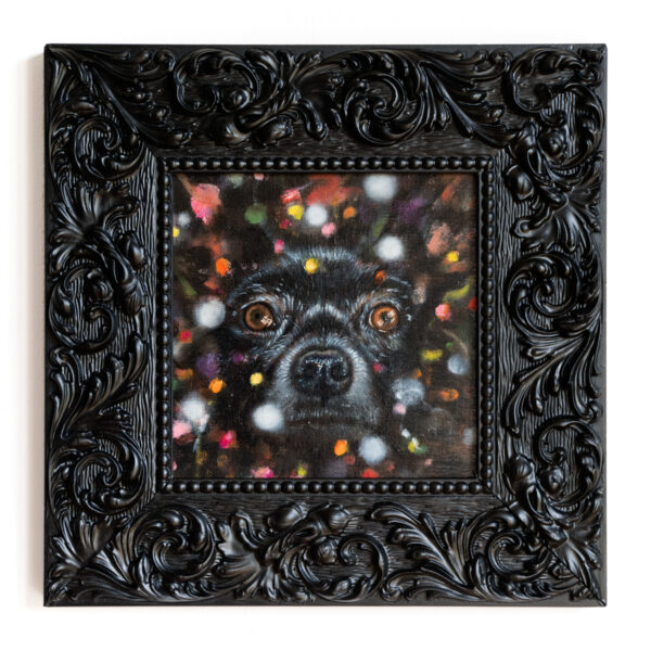 The Watcher, 2013 - 2014 – Bild 2